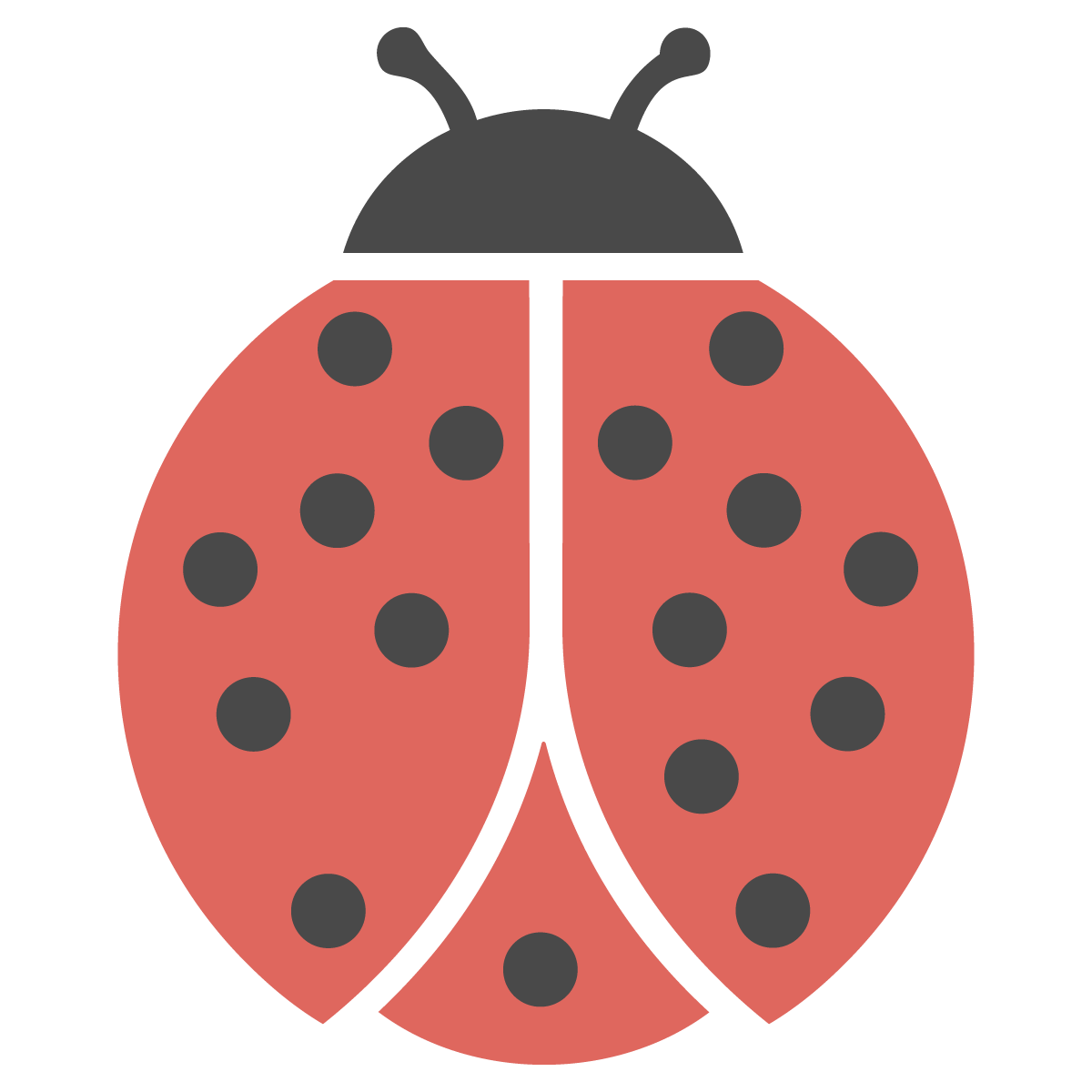 Réseau Coccinelle